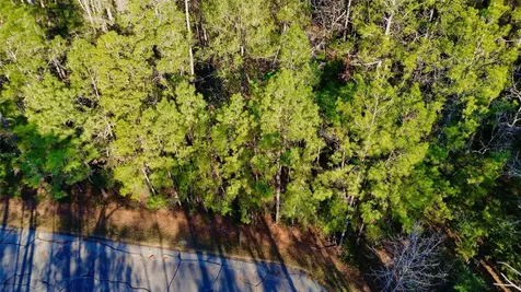 8 Walnut Court Huntsville TX 77320