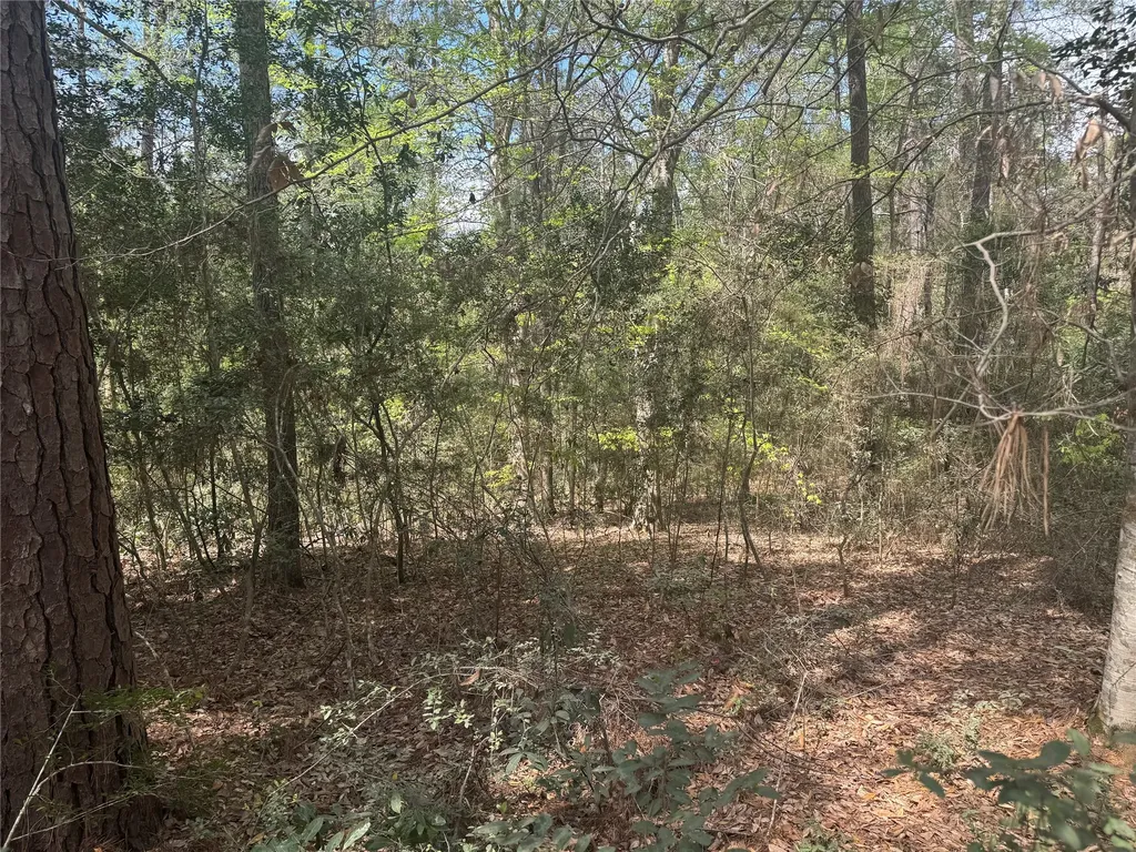 Tbd Big Foot Wallace Trail Livingston TX 77351