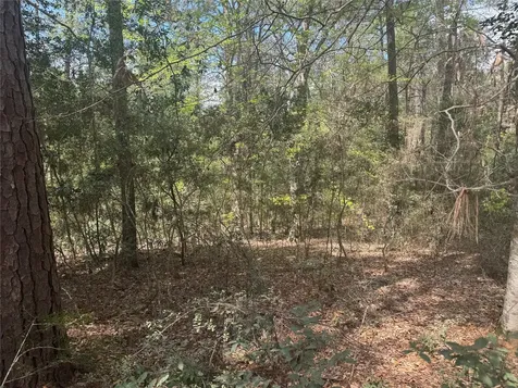 Tbd Big Foot Wallace Trail Livingston TX 77351