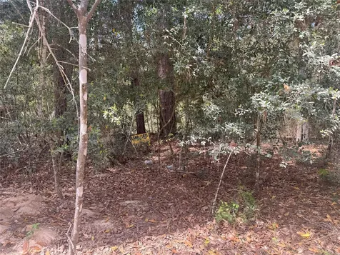 Tbd Big Foot Wallace Trail Livingston TX 77351