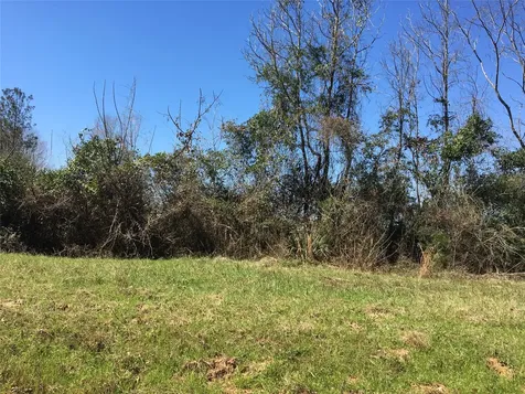 Lot 13 County Road 175 Garrison TX 75946