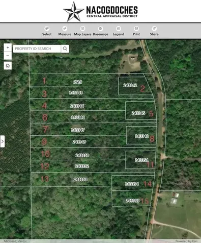 Lot 13 County Road 175 Garrison TX 75946