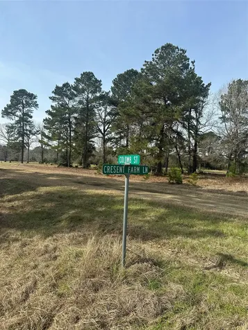 Lot 25 Colomb Street Trinity TX 75862