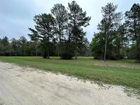 Lot 25 Colomb Street Trinity TX 75862