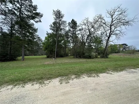 Lot 25 Colomb Street Trinity TX 75862