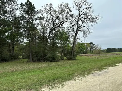 Lot 25 Colomb Street Trinity TX 75862