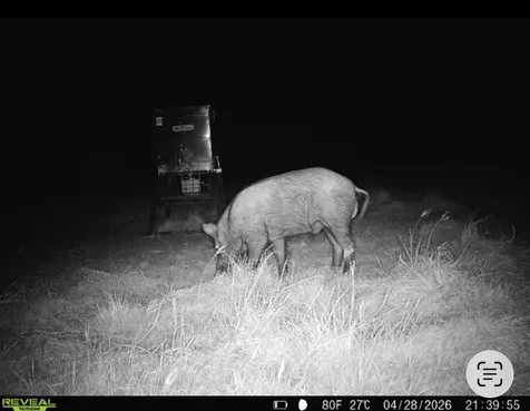 Tbd Cr 139 Gatesville TX 76528