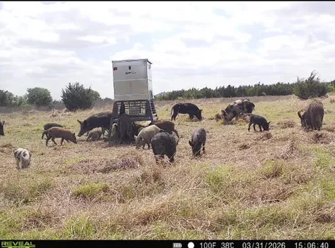 Tbd Cr 139 Gatesville TX 76528