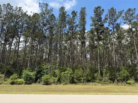 15693 Wooded Trail Way Willis TX 77378
