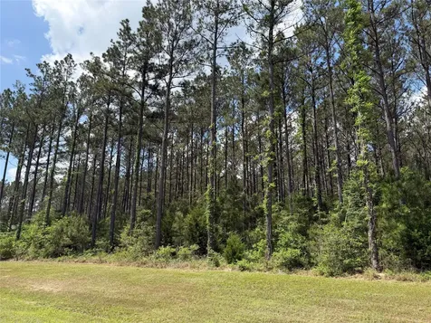 15693 Wooded Trail Way Willis TX 77378