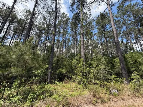 15693 Wooded Trail Way Willis TX 77378
