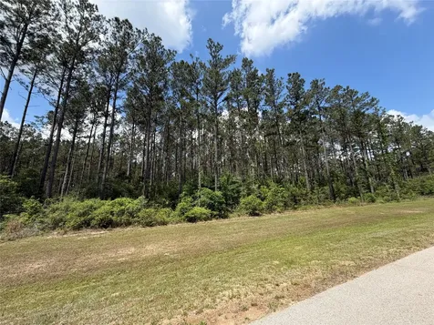 15693 Wooded Trail Way Willis TX 77378