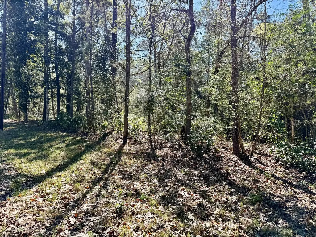 Tbd Churton Road Livingston TX 77351