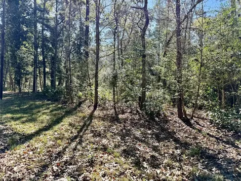 Tbd Churton Road Livingston TX 77351
