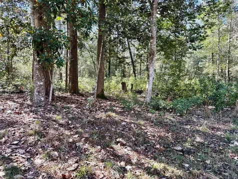 Tbd Churton Road Livingston TX 77351