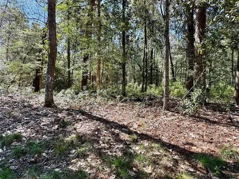 Tbd Churton Road Livingston TX 77351