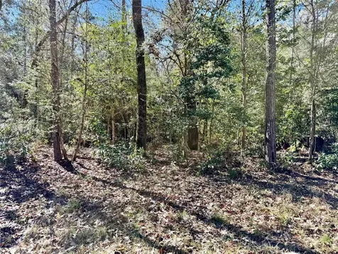 Tbd Churton Road Livingston TX 77351