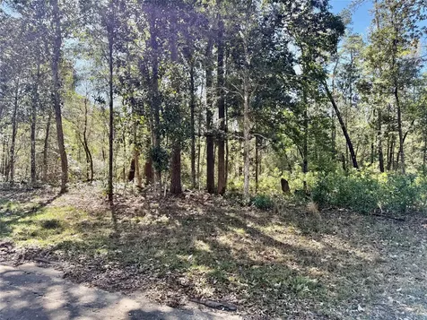 Tbd Churton Road Livingston TX 77351