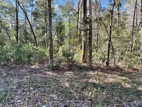 Tbd Churton Road Livingston TX 77351