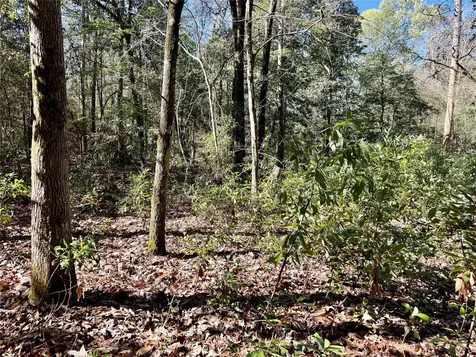 Tbd Churton Road Livingston TX 77351