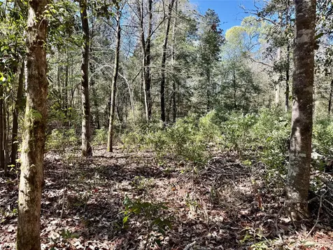 Tbd Churton Road Livingston TX 77351