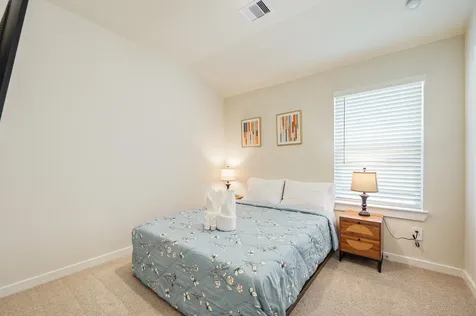 312 Willow Sage Court Montgomery TX 77316