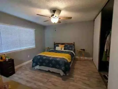 16203 Barbarossa Drive Houston TX 77083