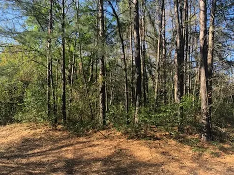 0 Marlin Lot 312 Drive Hemphill TX 75948