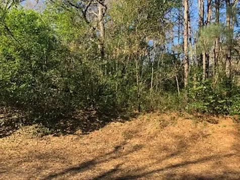 0 Marlin Lot 312 Drive Hemphill TX 75948