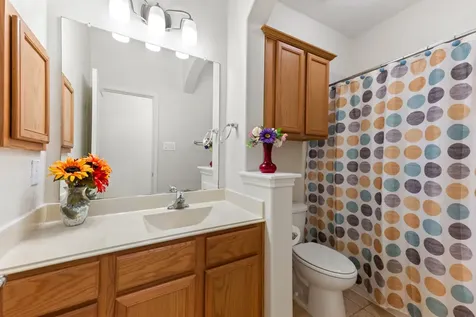 17715 Sauki Lane Richmond TX 77407