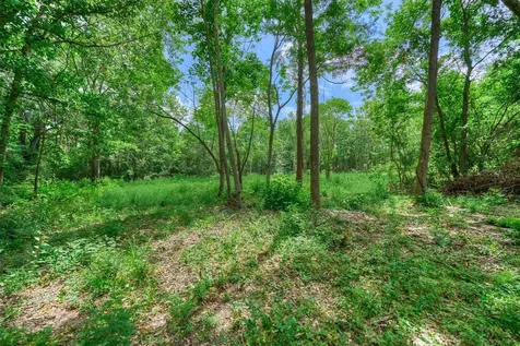 Tract C Sharp View Road Montgomery TX 77356
