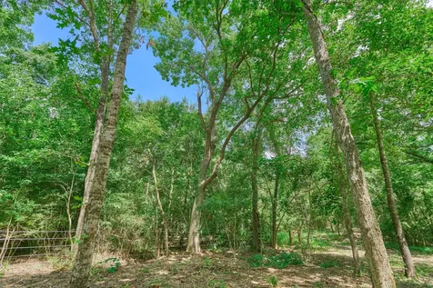 Tract C Sharp View Road Montgomery TX 77356