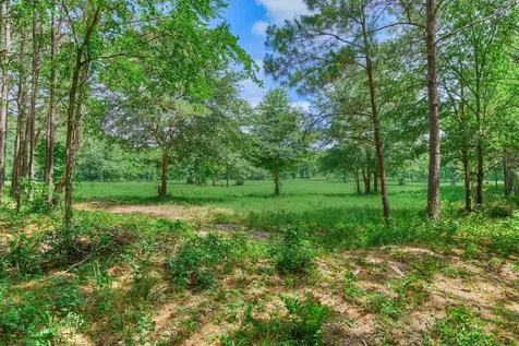 Tract C Sharp View Road Montgomery TX 77356