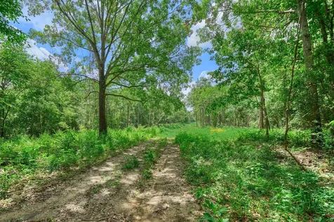 Tract C Sharp View Road Montgomery TX 77356