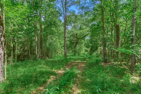 Tract C Sharp View Road Montgomery TX 77356