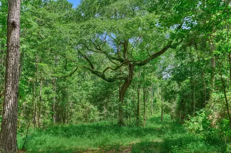 Tract C Sharp View Road Montgomery TX 77356