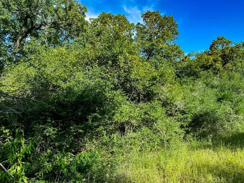Lot 10 Ranch Road Dr Drive Normangee TX 77871