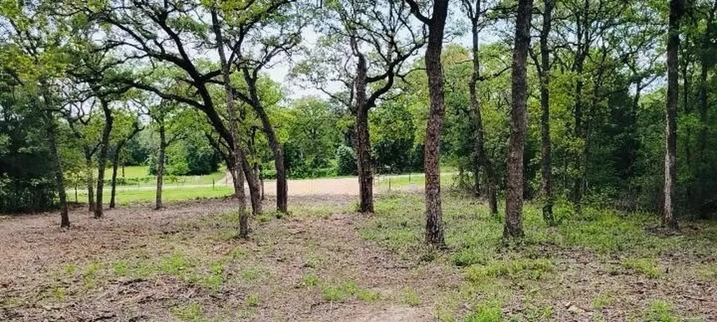 Lot 3 At County Road 312 Thrall TX 76578