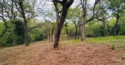 Lot 3 At County Road 312 Thrall TX 76578