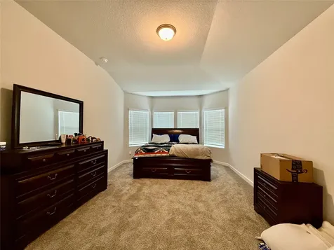 2514 Camino Canyon Drive Crosby TX 77532