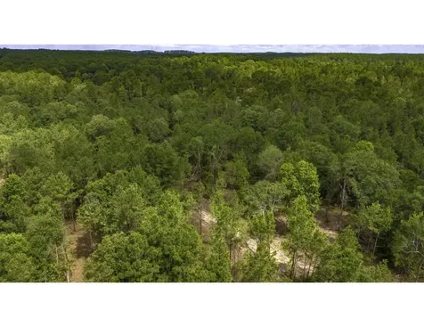 Tbd Lot 003 Holland Road Moscow TX 75960