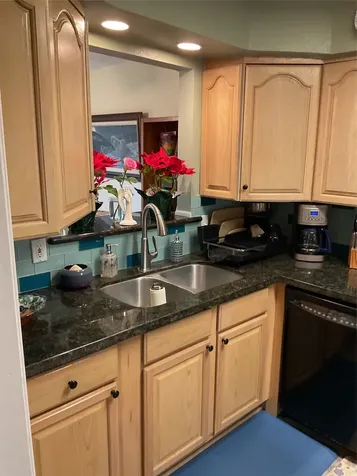 5217 Arboles Drive M Houston TX 77035