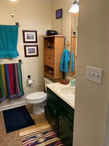 5217 Arboles Drive M Houston TX 77035