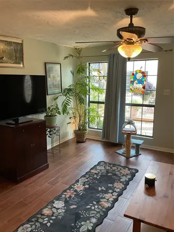 5217 Arboles Drive M Houston TX 77035