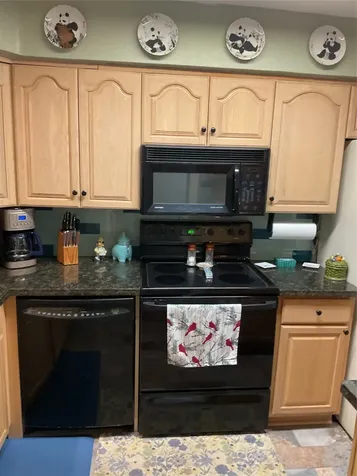 5217 Arboles Drive M Houston TX 77035