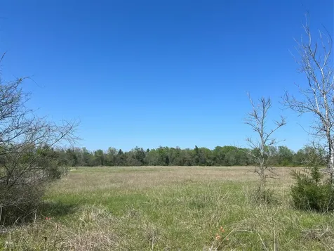 0031 Fm 2562 And Cr 218 Road Anderson TX 77830