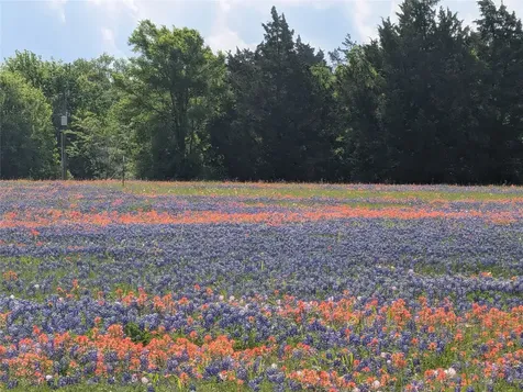 0031 Fm 2562 And Cr 218 Road Anderson TX 77830