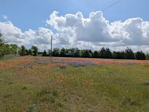 0031 Fm 2562 And Cr 218 Road Anderson TX 77830