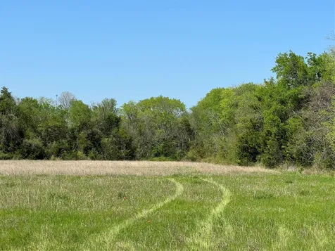0031 Fm 2562 And Cr 218 Road Anderson TX 77830
