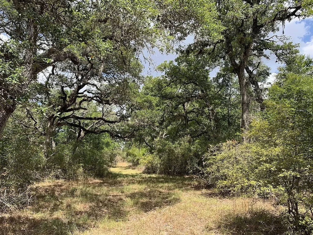 00 Private Road 1581 Road Hallettsville TX 77964